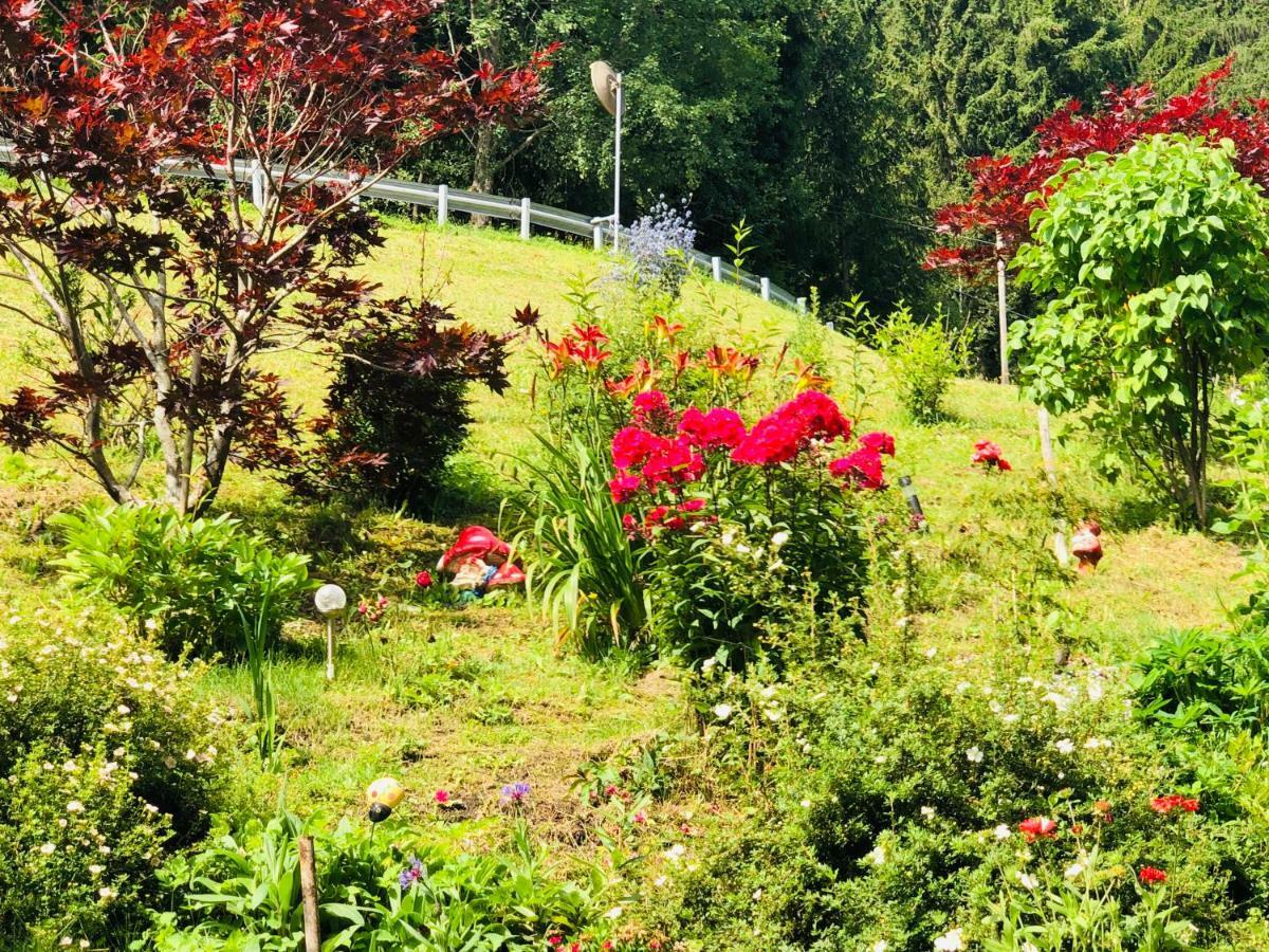 Flatscherhof ซานลอเรนโซดิเซบาโต ภายนอก รูปภาพ