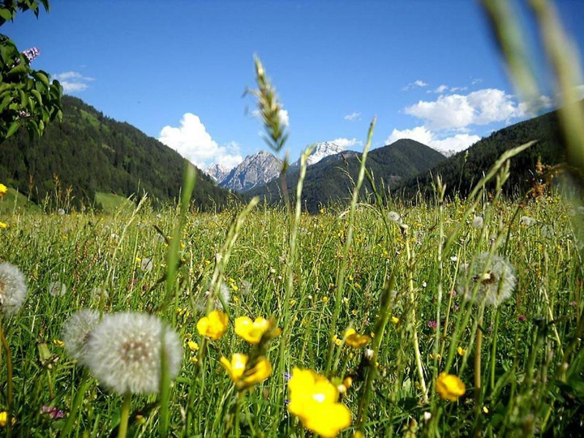 Flatscherhof ซานลอเรนโซดิเซบาโต ภายนอก รูปภาพ