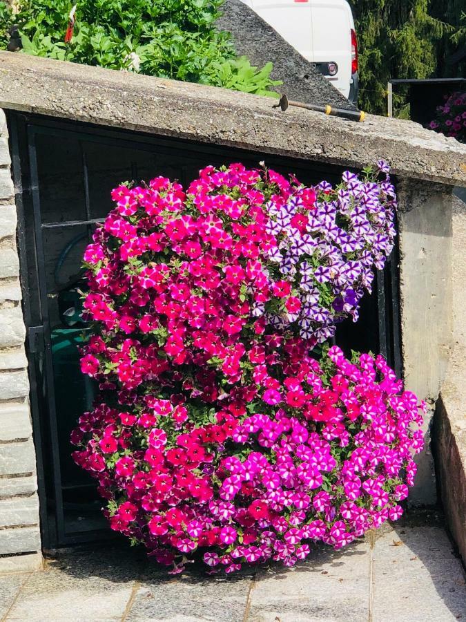 Flatscherhof ซานลอเรนโซดิเซบาโต ภายนอก รูปภาพ